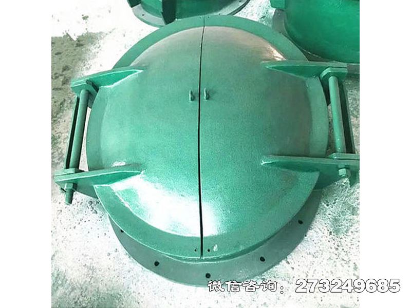 青秀双开式玻璃钢拍门