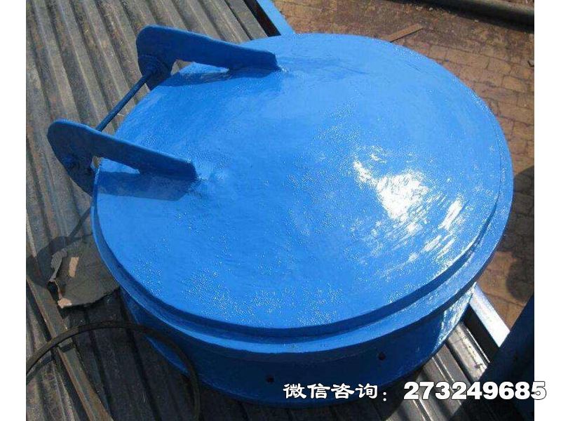 建平县复合材料防倒灌拍门