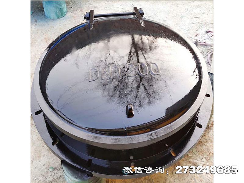 建平县防倒灌玻璃钢拍门
