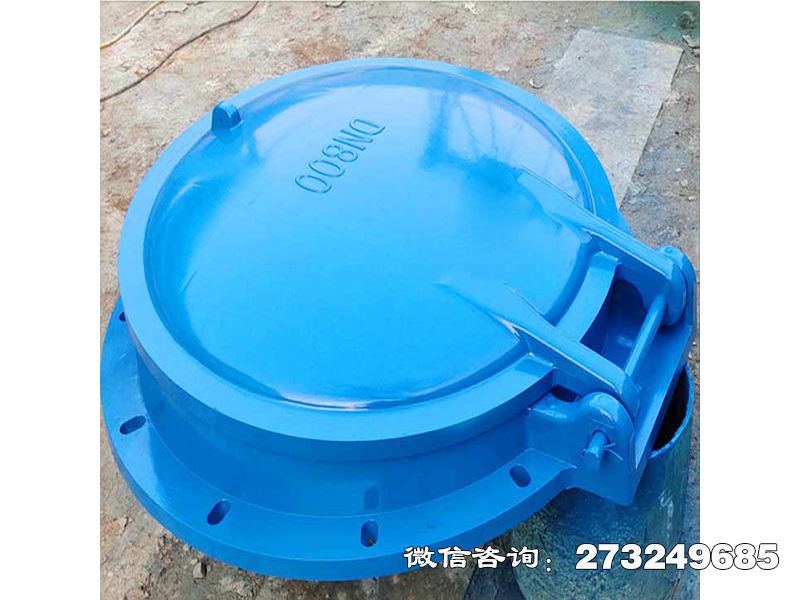 建平县单向水流控制拍门