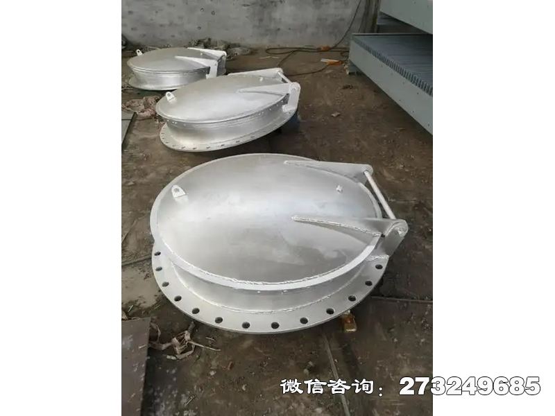 邕宁防止洪水倒灌不锈钢拍门