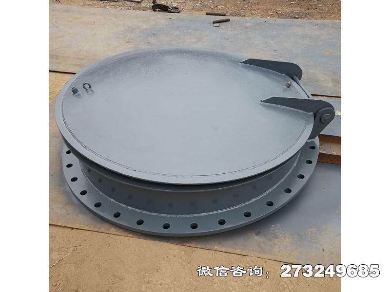 邕宁泵站防逆流不锈钢拍门