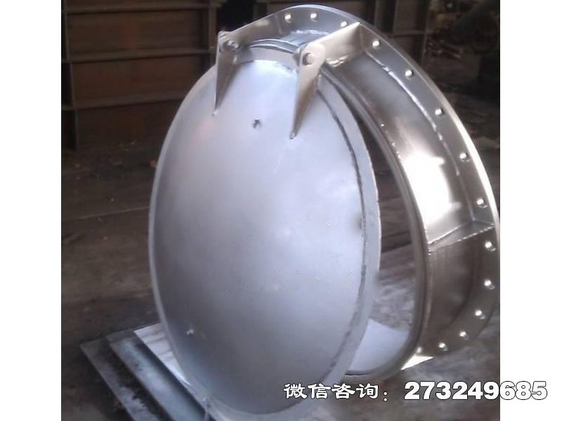 青秀316L不锈钢拍门