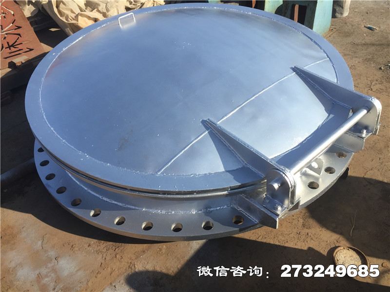 青秀不锈钢止回拍门