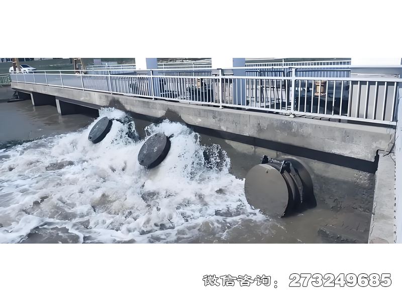 蓬江内河潮门拍门