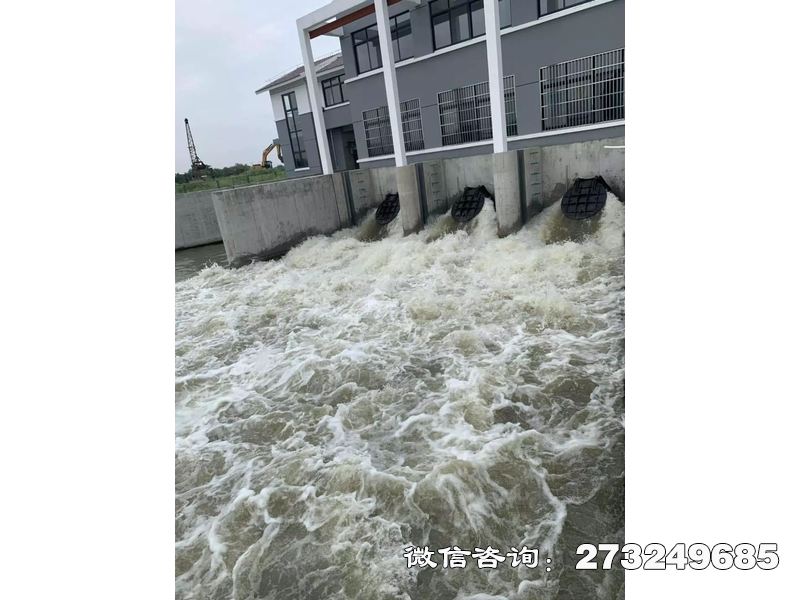 蓬江防潮堤潮门拍门