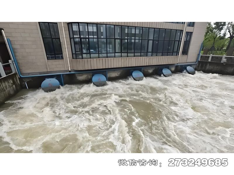建平县海防工程拍门