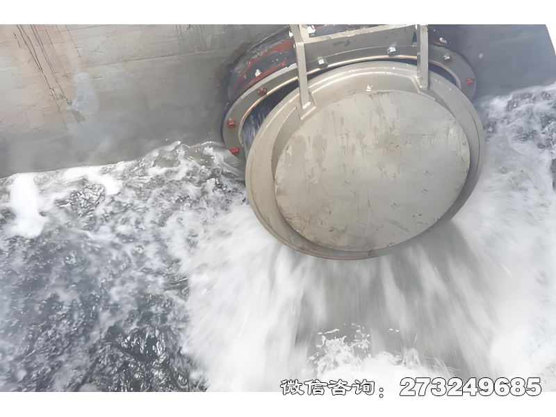 建平县海堤排水拍门