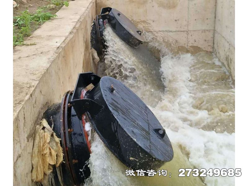 建平县海水防倒灌拍门