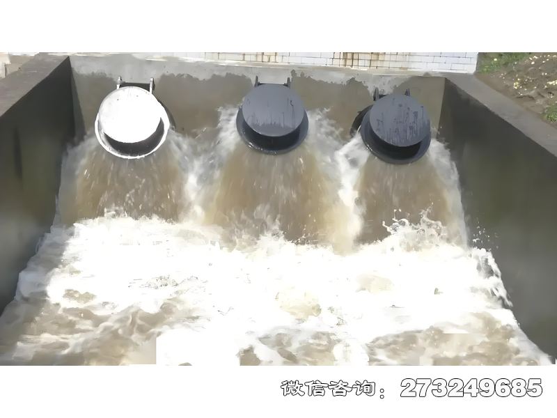 建平县河口防潮拍门