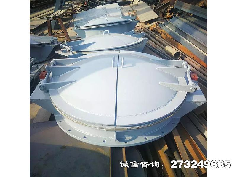 邕宁水务局钢制防洪拍门
