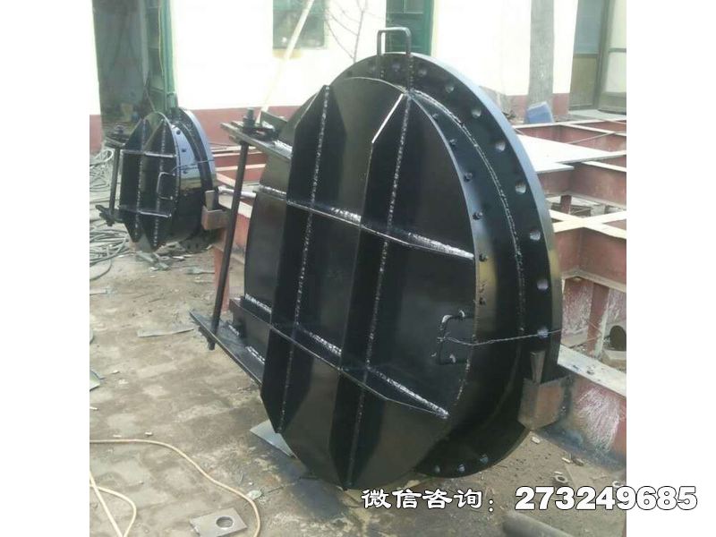 邕宁防汛部钢制应急拍门
