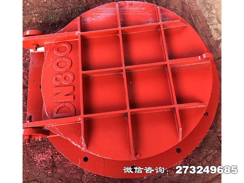 正阳县止回钢制管道拍门