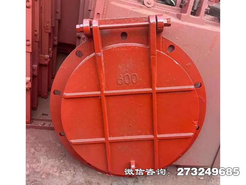正阳县耐腐钢制污水拍门