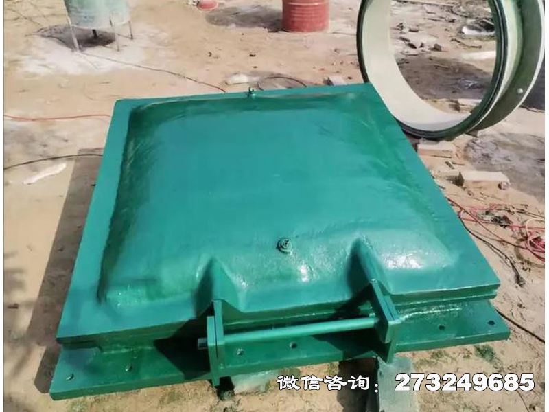 岭东河道钢制排水拍门
