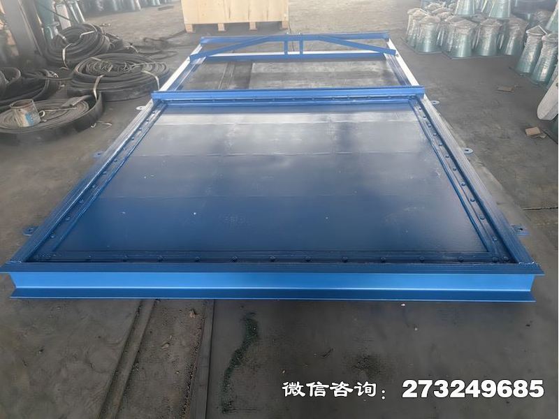 高明潮汐分水钢制闸门