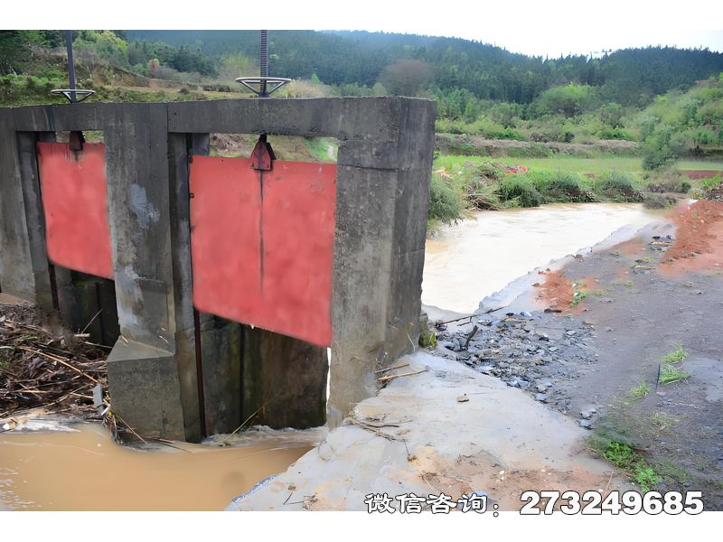 岭东支渠分水闸