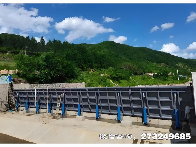 岭东河道灌溉控制坝