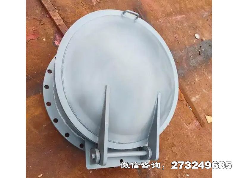 建平县铸铁圆型防逆流拍门