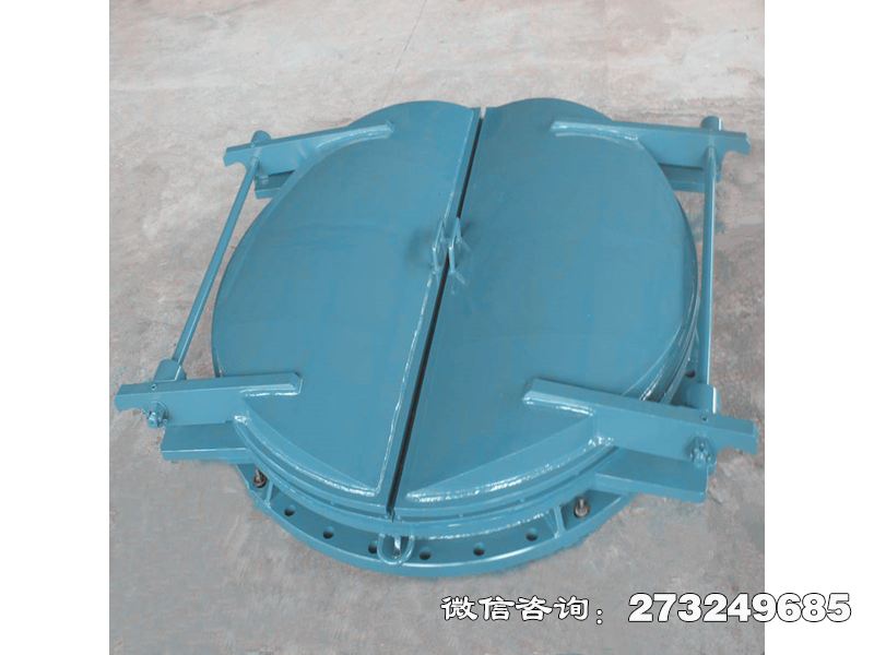 海北铸铁圆型密封拍门