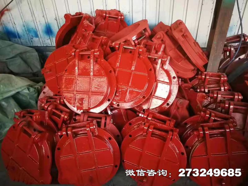 海北铸铁圆形泵站拍门