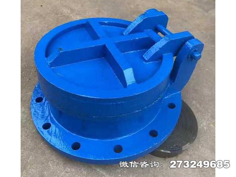 建平县铸铁圆型截污拍门