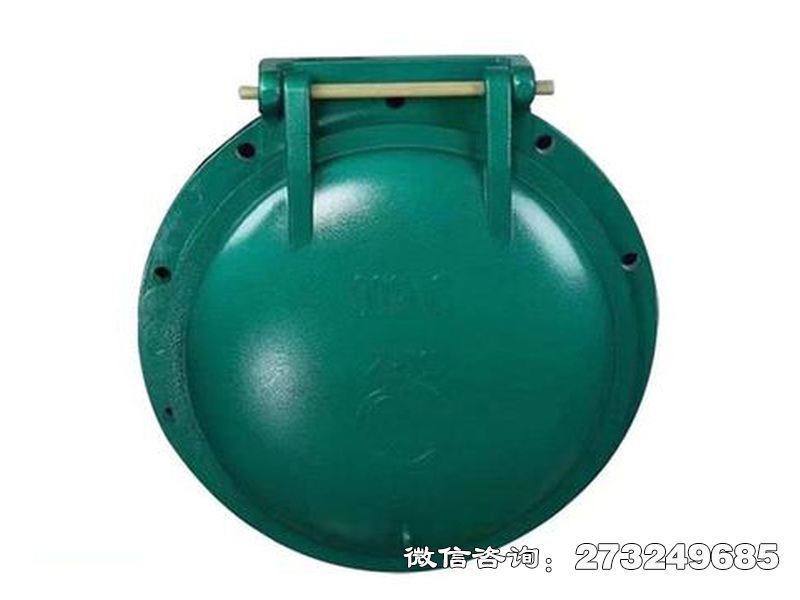 邕宁铸铁圆型潮汐防倒灌拍门